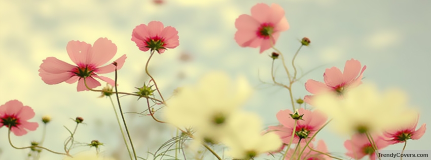 Nature Facebook Covers - TrendyCovers.com